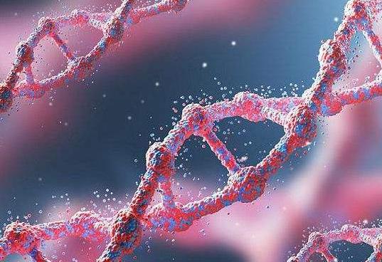 不明原因反复发烧 可能是基因突变在“捣乱”