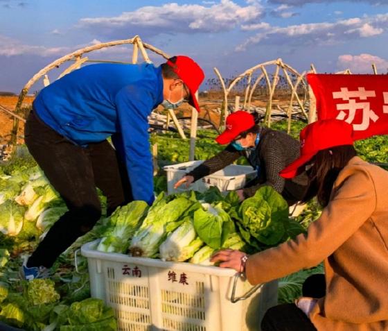 响应国家号召：苏宁紧急筹措蔬菜、口罩等保障一线