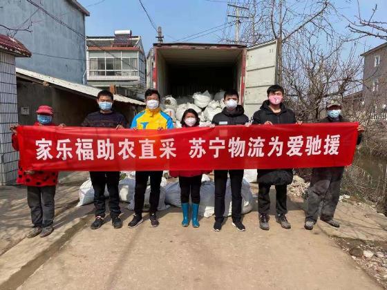 苏宁拼购助农18条来了！绿色通道、物流五折最醒目