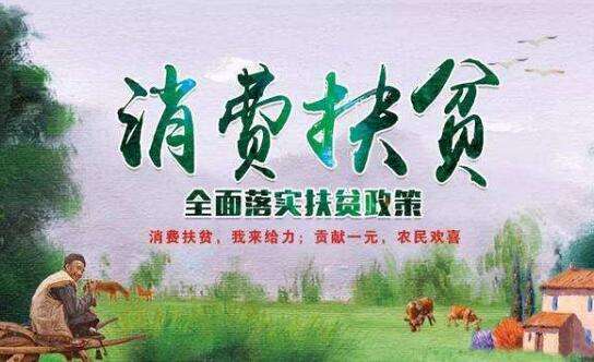 明星线上消费扶贫 60多吨兰州百合被抢购一空