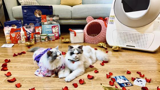 跨境电商综试区再添新军 46个城市地区获批