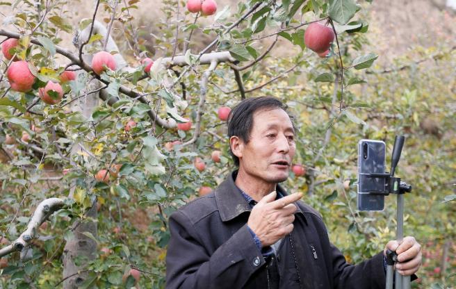 阿里推出“脱贫春雷计划”，2019年贫困县在阿里平台网络销售额近千亿