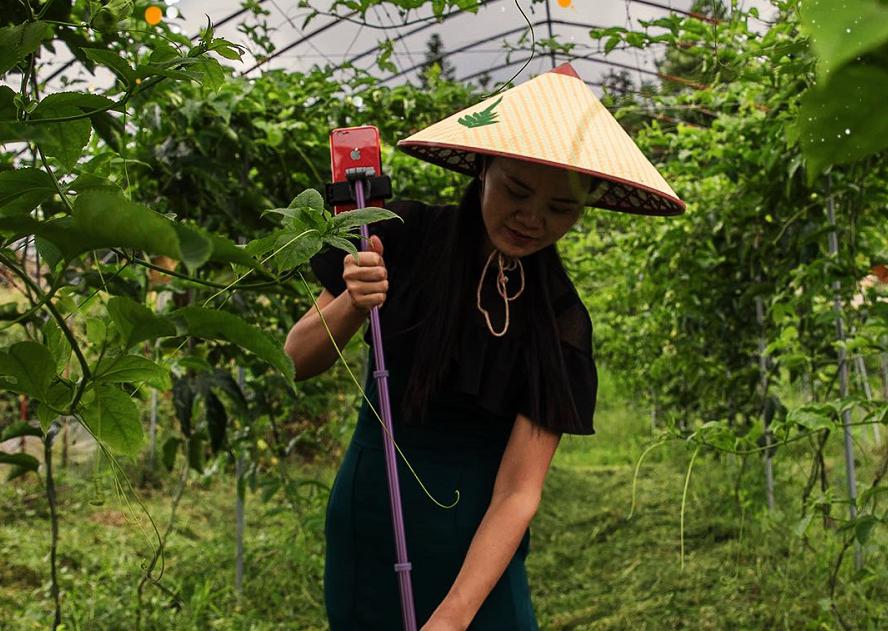 农产品电商，好质量才有好销量