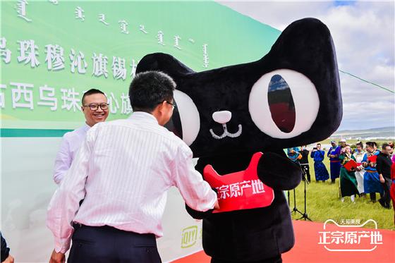 阿里丰收节上西乌珠穆沁旗大草原严选羊肉天猫首发