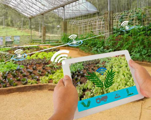 科技创新 满足日益增长的食物需求