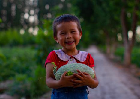 阿里巴巴助农天猫双11成绩单：农产品成交120亿