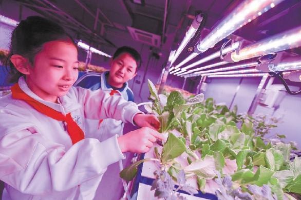 北航附小学生进“月宫”种菜