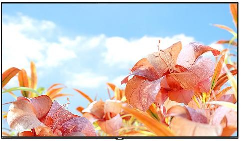 生如夏花创维首款鸣丽屏 Mini LED 电视