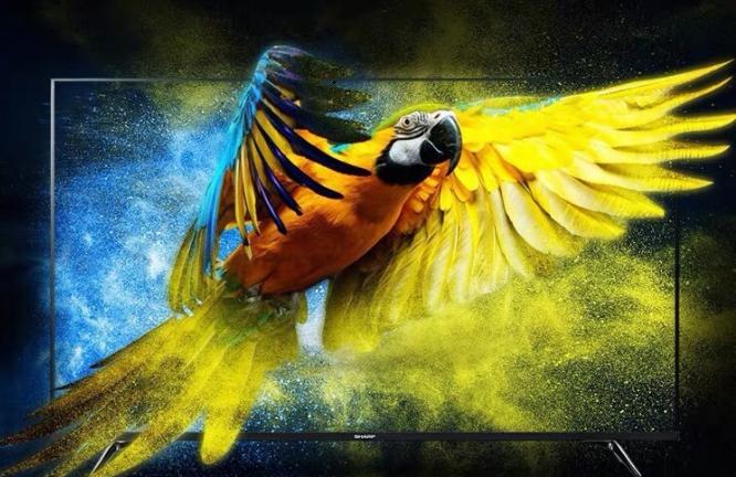 超高清视频产业大会：夏普8K+5G生态版图建设与拓展