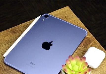苹果iPad mini6翻车 被质疑竖屏存在“果冻屏”问题