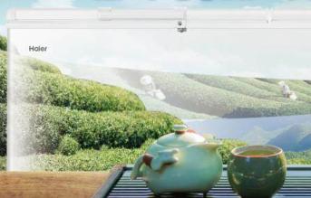 海尔冷柜打造“春茶柜”制定行业标准