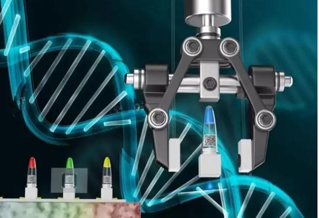 中科院在连续体机器人形状感知研究方面取得进展