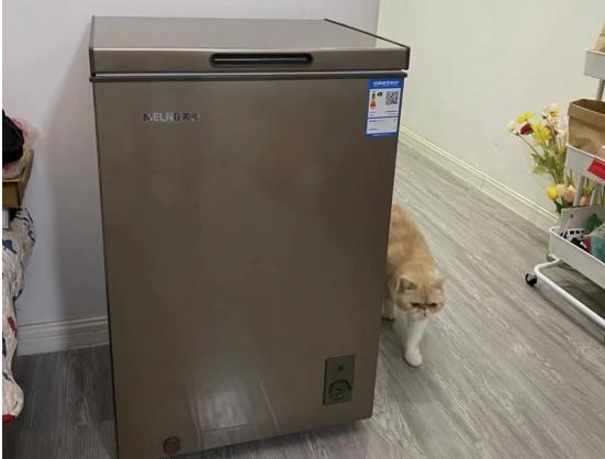 持续热销! 美菱冷柜成市场新宠 持续热销! 美菱冷柜成市场新宠