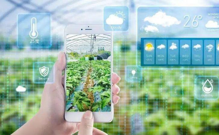 乡村振兴这一年：数字经济打通农产品供需信息天堑