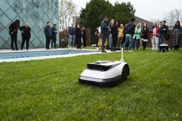 25岁的科沃斯做了什么?