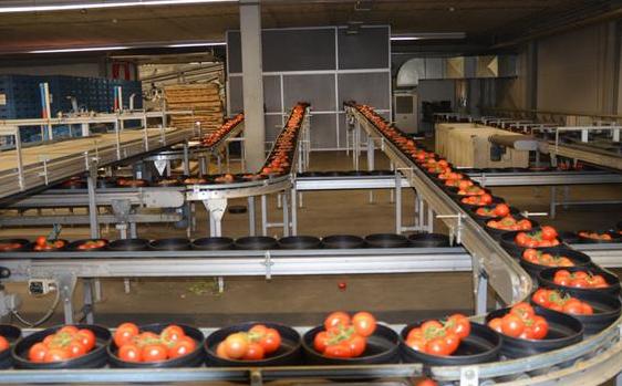 提升农产品初加工机械化水平