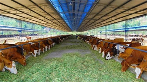 以科技推动畜牧业现代化