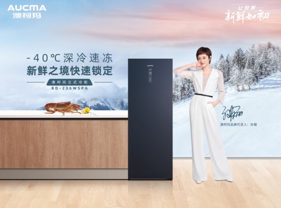 澳柯玛立式冷柜通过首批产品双安全标准认证