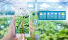 人工智能可以成为农业生产强有力的辅助