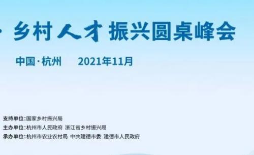 激活乡村数字化人才“引擎”