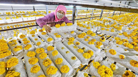 村庄里建起了智慧微工厂