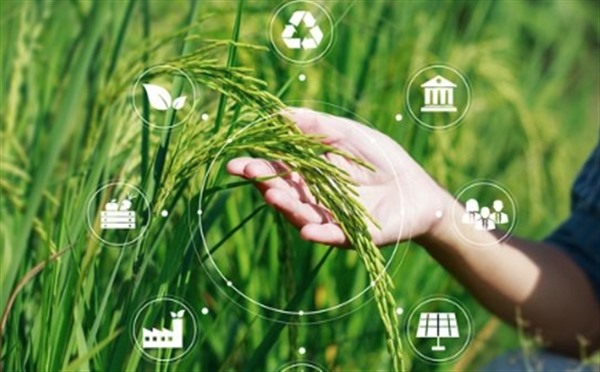 农业领域如何加强绿色低碳科技应用 农业领域如何加强绿色低碳科技应用