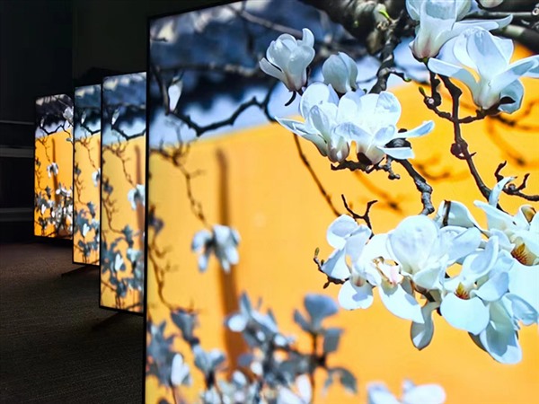 看华为智慧屏V5 MAX 110如何破解黑电应用场景困局