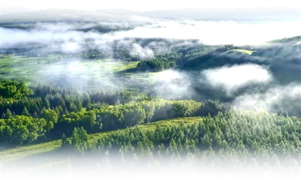 维谛技术携手中金数据开启制冷科技的革新之旅