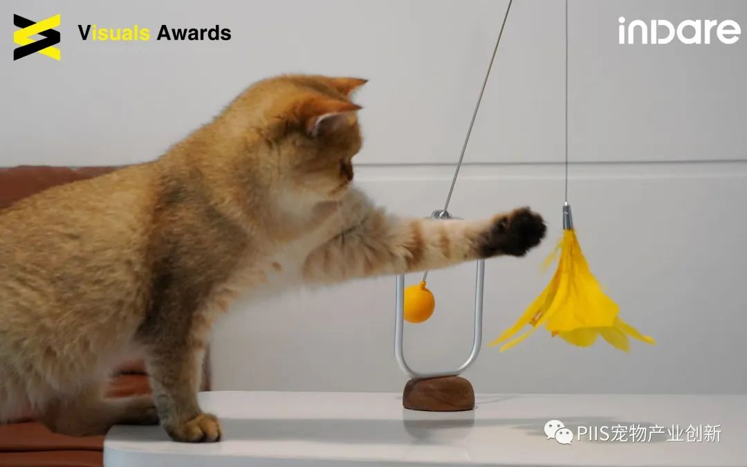 AI尝试解读动物交流“语言”