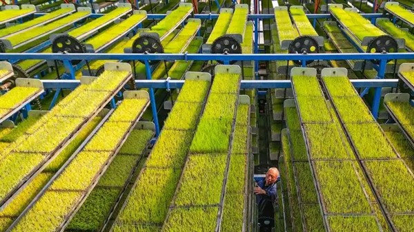 农业数智化转型升级 包括农业全产业链的智慧化改造 农业数智化转型升级 包括农业全产业链的智慧化改造