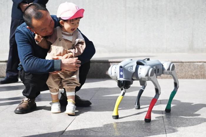 定价继续下探 具身智能敲响人类的家门