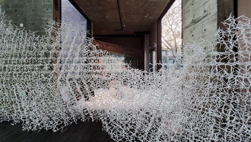 大语言模型会在蒸馏中“夹带”自己的偏好